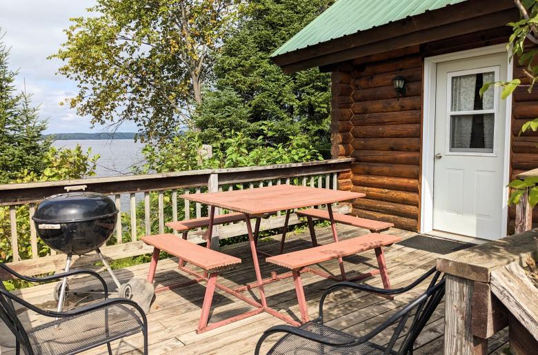 Deck area with picnic table, charcoal grill, and views of the lake.