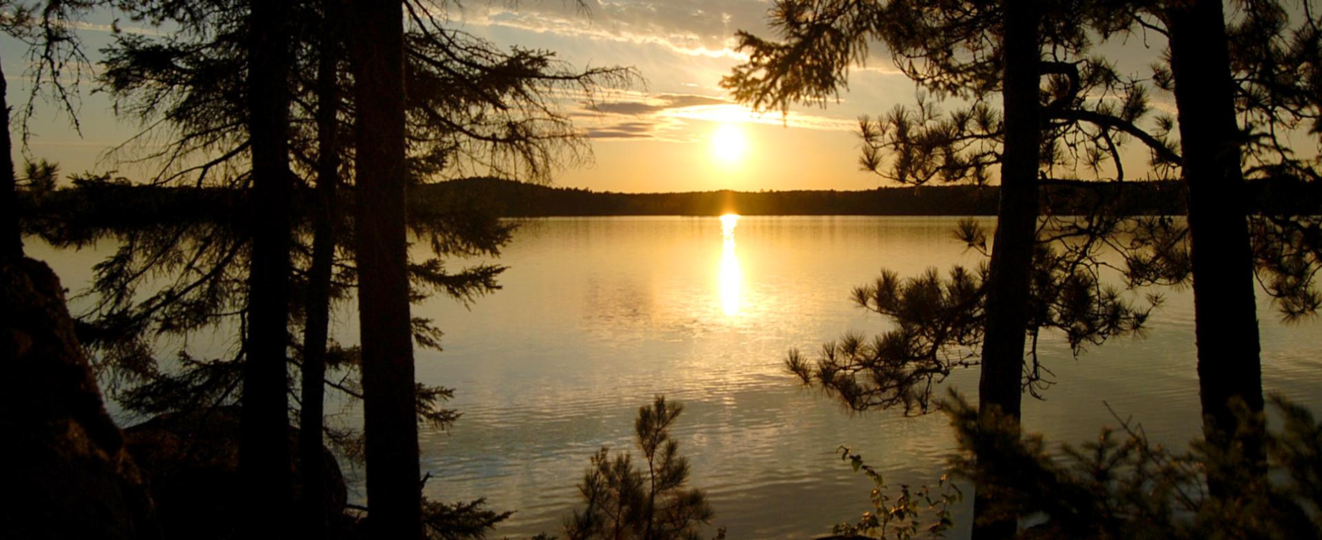 Lake Vermilion and pine trees at sunset.